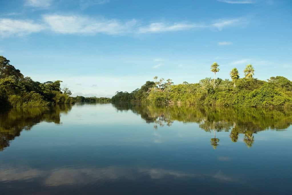 Pantanal Brazil 2 General Pantanal Brazil