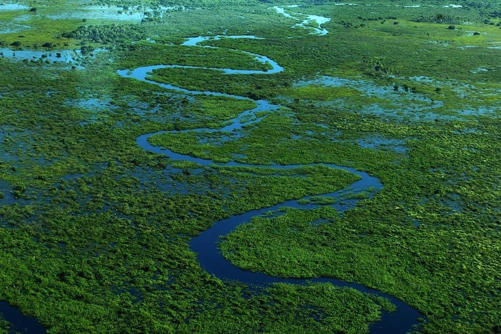 Pantanal Brazil 3 General Pantanal Brazil