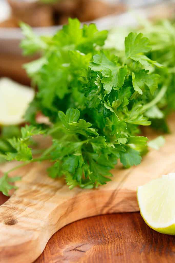 Parsley Food of Syria Syria, Food, Travel Parsley Food of Syria