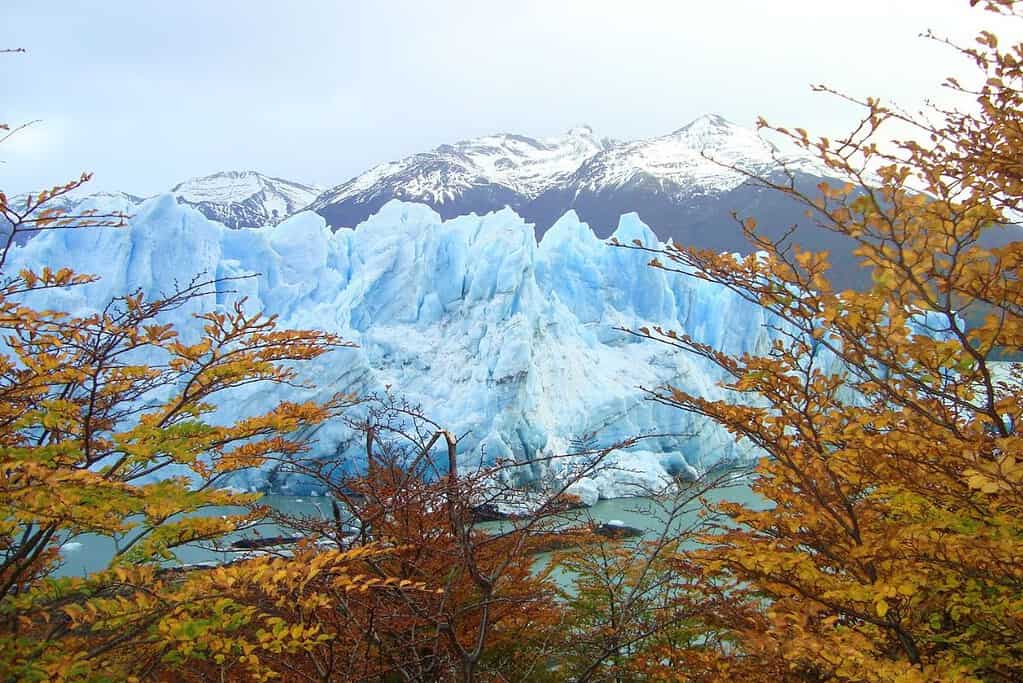 Perito Moreno Glacier 7 Attractions Perito Moreno Glacier - Argentina