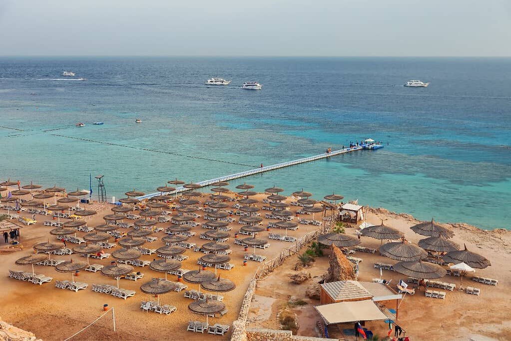 Red Sea Monthly Travel Red Sea