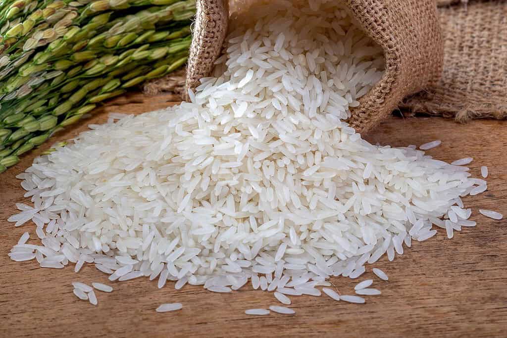 Rice food of Afghanistan Food Rice food of Afghanistan