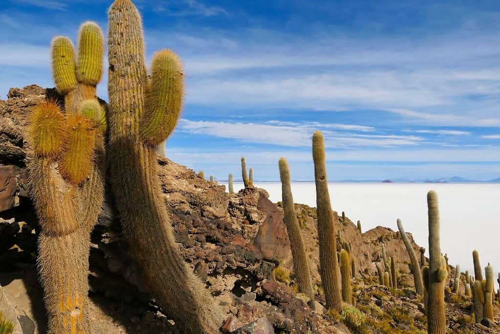 Salar de Uyuni Bolivia 3 General Salar de Uyuni Bolivia