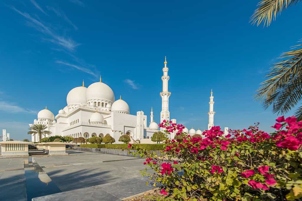 Sheikh Zayed Grand Mosque UAE 2 Sheikh Zayed Grand Mosque - UAE