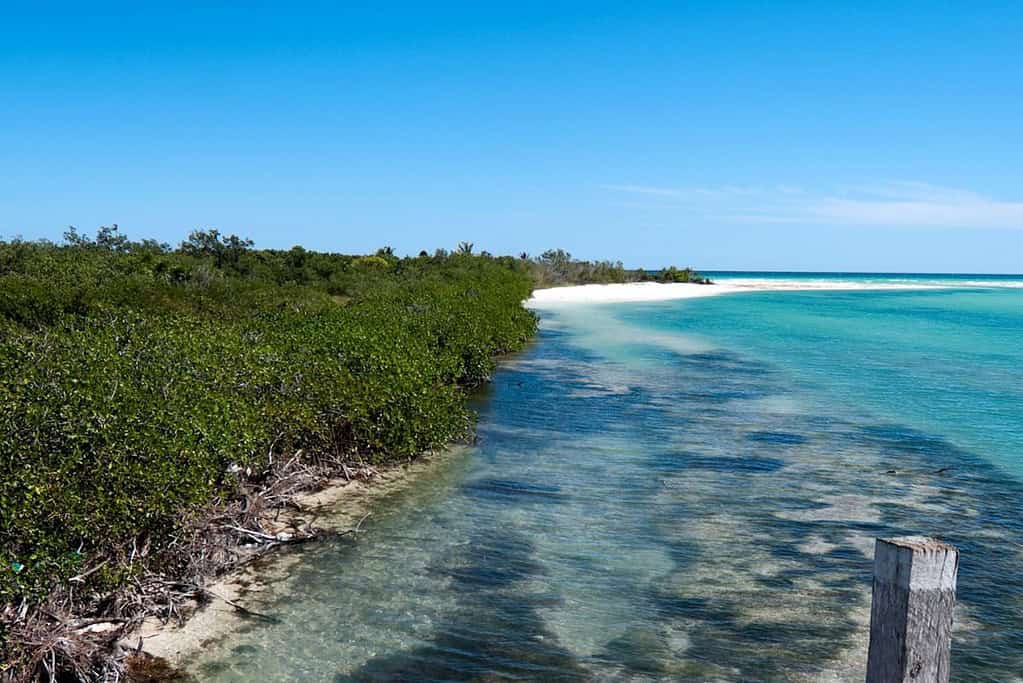 Sian Kaan Biosphere Reserve 4 Attractions Travel to Sian Ka'an Biosphere Reserve