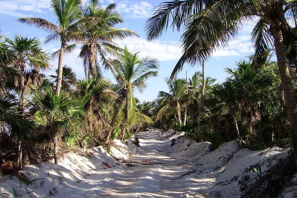 Sian Kaan Biosphere Reserve 5 Attractions Sian Ka'an Biosphere Reserve
