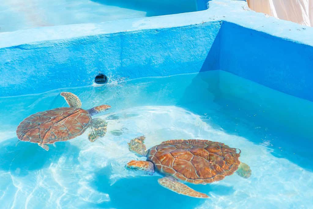 Sian Kaan Biosphere Reserve 7 Attractions Sian Ka'an Biosphere Reserve