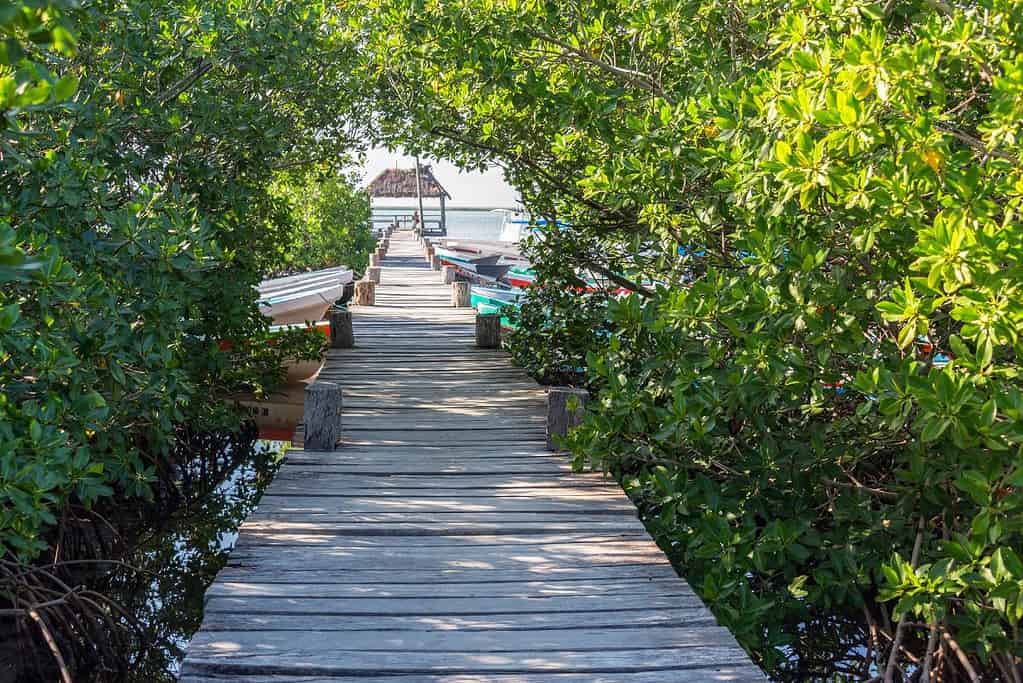 Sian Kaan Biosphere Reserve Mexico Attractions Sian Ka'an Biosphere Reserve - Mexico