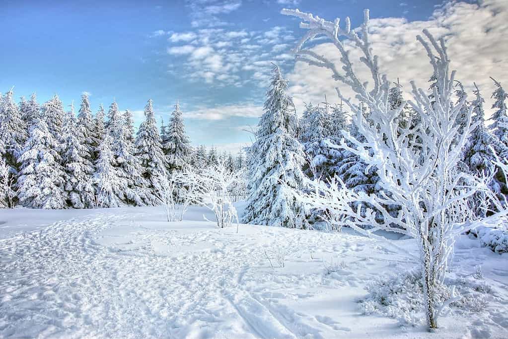 Snowy places to visit in January Monthly Travel Snowy places to visit in January