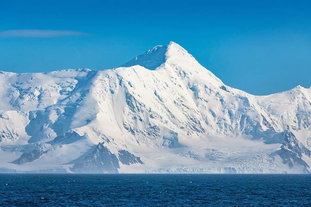 South Shetland Islands 4 South Shetland Islands