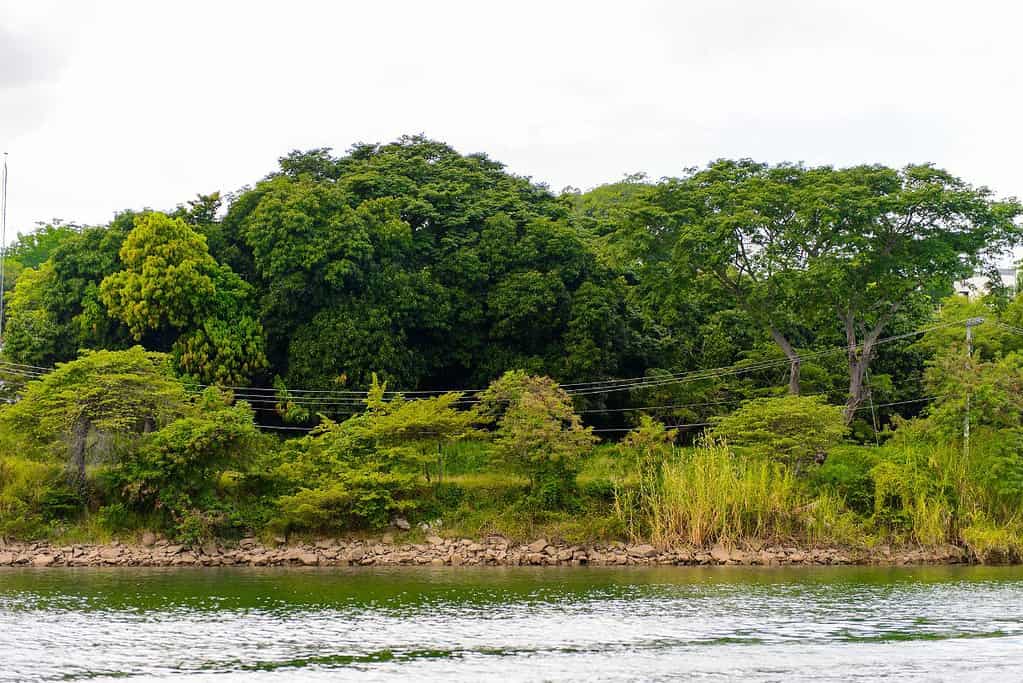 Sumidero Canyon 10 Attractions Sumidero Canyon