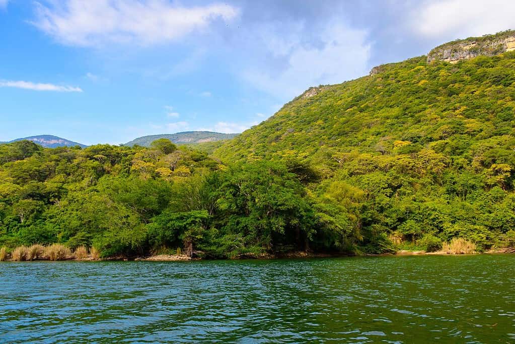 Sumidero Canyon 7 Attractions Sumidero Canyon