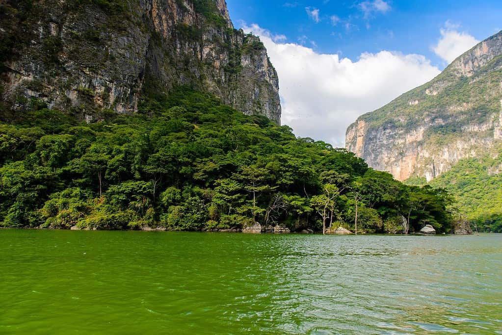 Sumidero Canyon 9 Attractions Sumidero Canyon