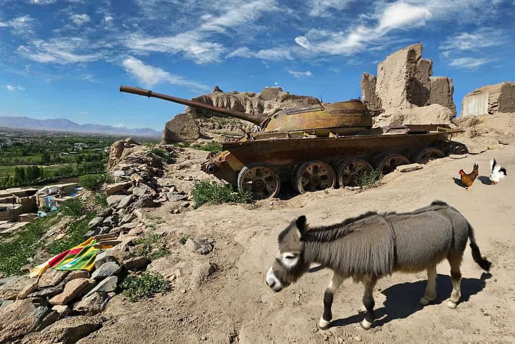 The Beautiful Afghanistan Beautiful Afghanistan