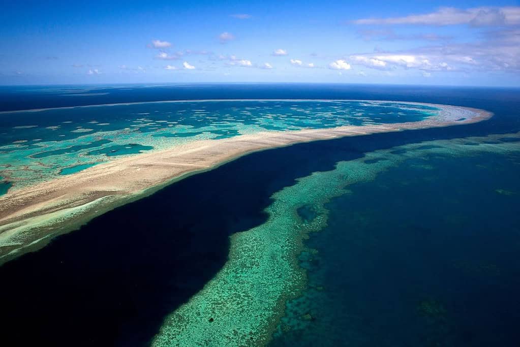 The Great Barrier Reef Australia Travel The Great Barrier Reef Australia