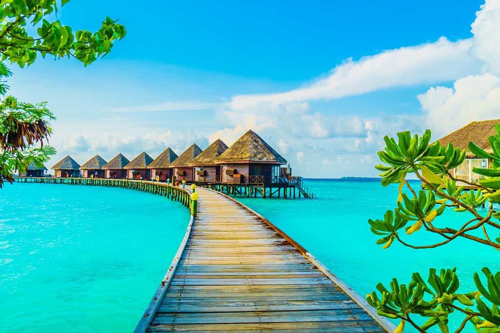 The Maldives Monthly Travel The Maldives