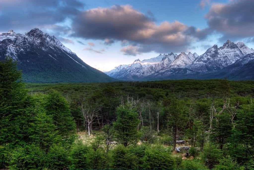 Tierra del Fuego Argentina and Chile 4 Tierra del Fuego Argentina and Chile
