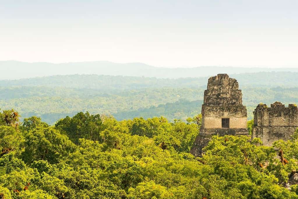 Tikal Guatemala 2 Tikal Guatemala