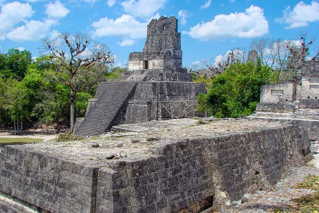 Tikal Guatemala 3 Tikal Guatemala