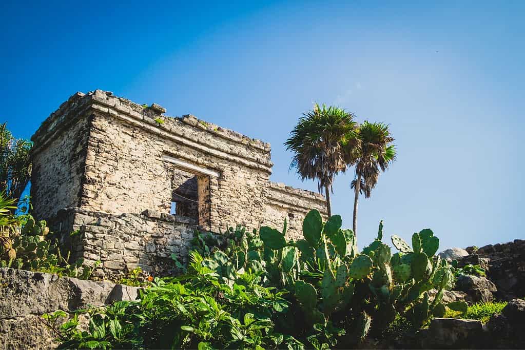 Tulum 2 Attractions Tulum