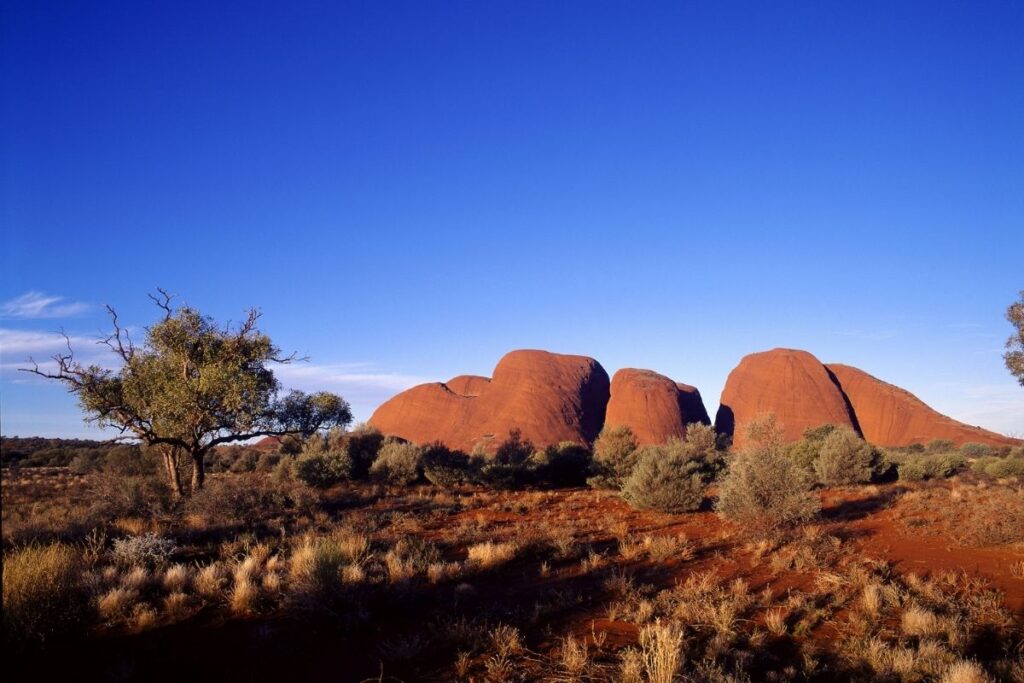 Uluru-Kata Tjuta National Park Australia