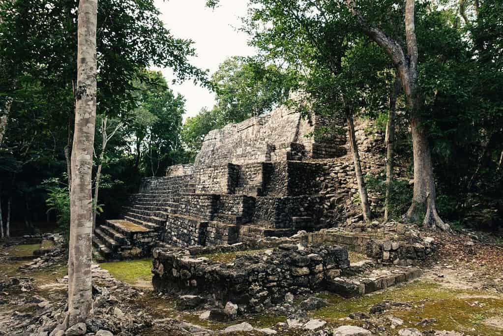 Visit Calakmul Attractions Visit Calakmul