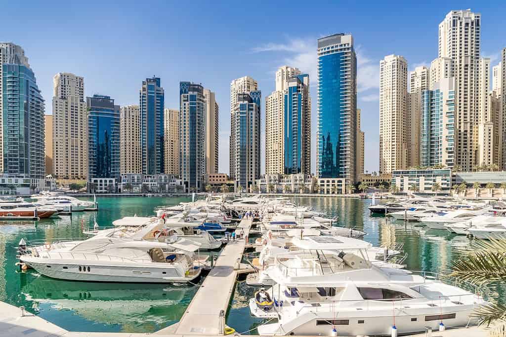 Visit Dubai Marina Attractions Visit Dubai Marina
