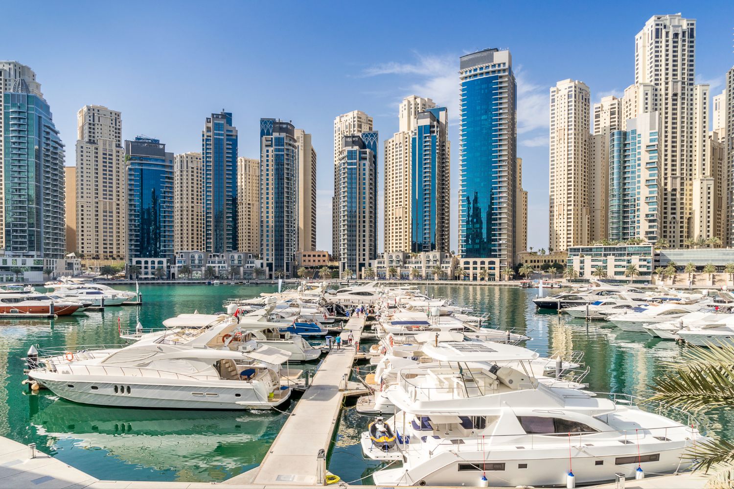 Visit Dubai Marina