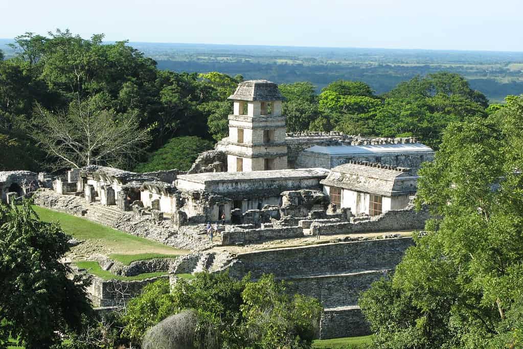 Visit Palenque Attractions Visit Palenque