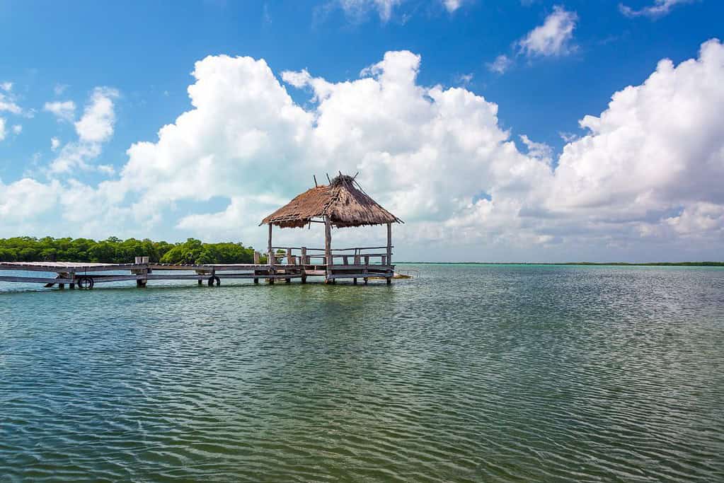 Visit Sian Kaan Biosphere Reserve Attractions Visit Sian Ka'an Biosphere Reserve