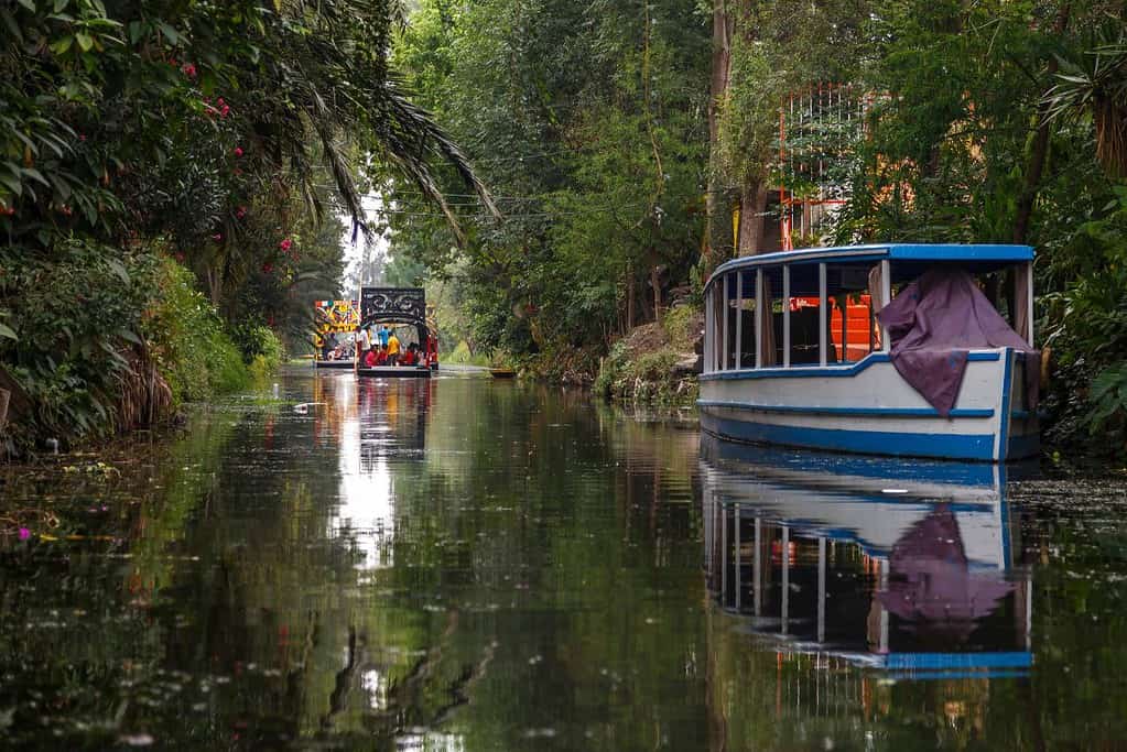 Xochimilco 10 Attractions Xochimilco