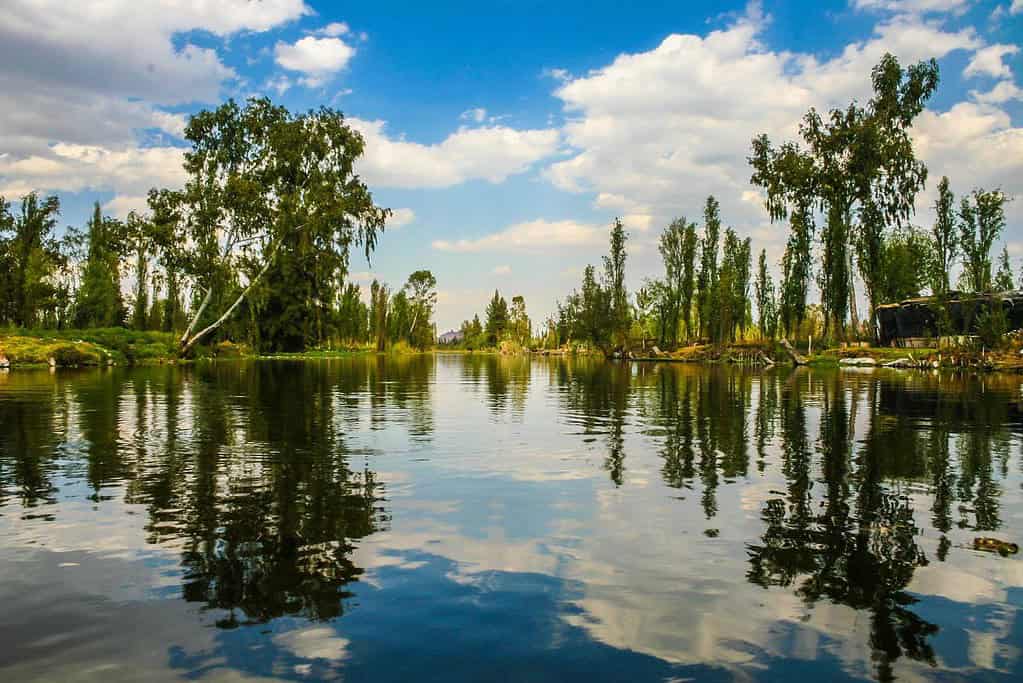 Xochimilco 5 Attractions Xochimilco