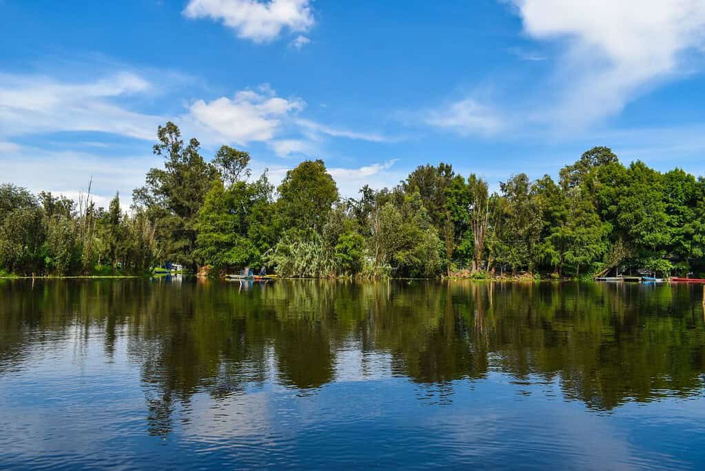 Xochimilco 8 Attractions Xochimilco