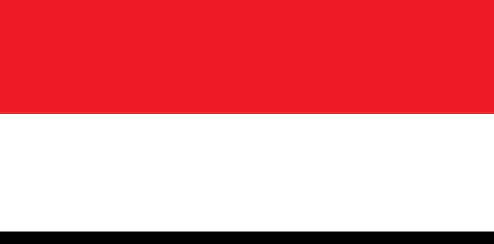 Yemeni flag picture