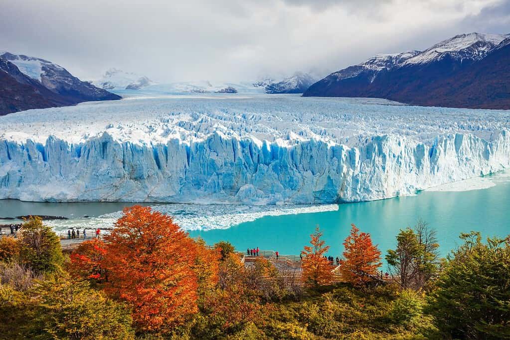El Calafate 6 Attractions El Calafate in Argentina El Calafate 6