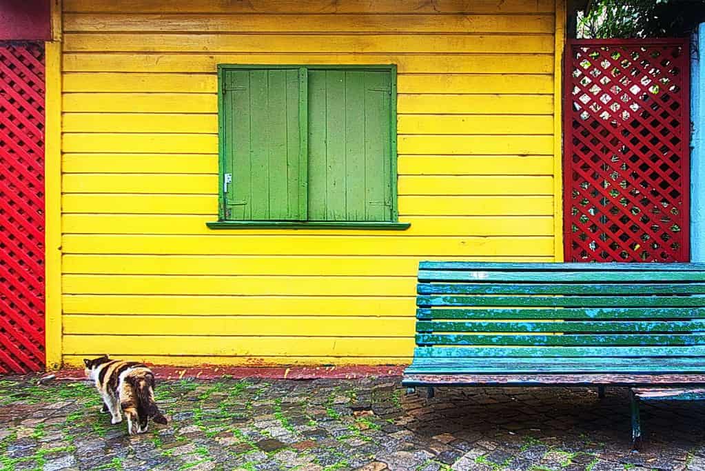 La Boca 6 Attractions La Boca