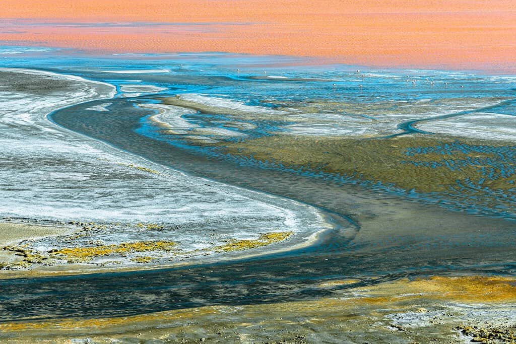 Laguna Colorada 10 Attractions Laguna Colorada