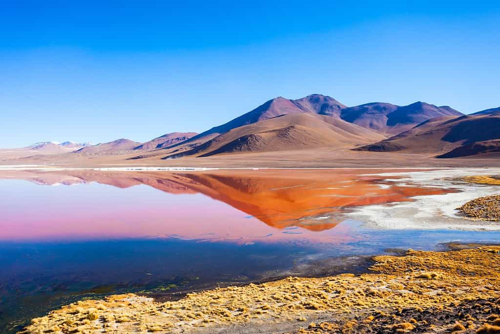 Laguna Colorada 2 Attractions Visit Laguna Colorada