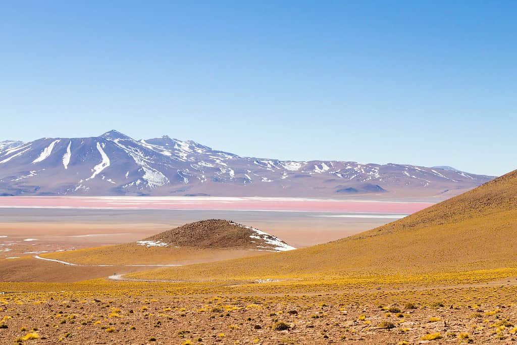 Laguna Colorada 3 Attractions Visit Laguna Colorada