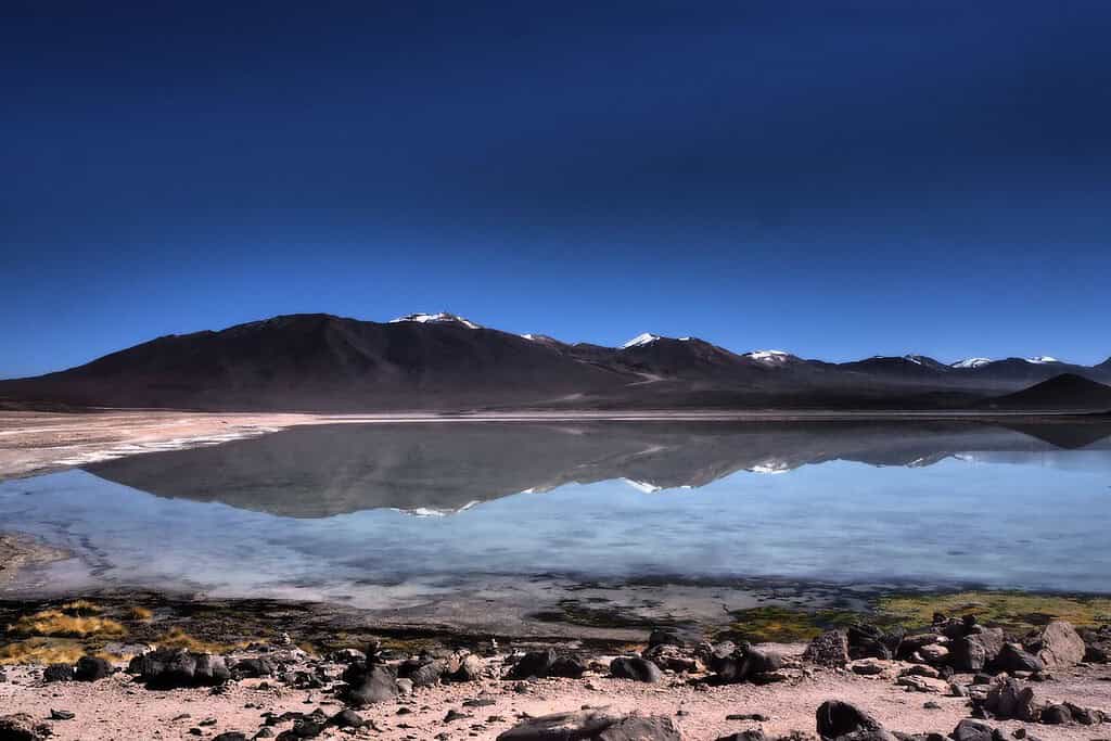 Laguna Colorada 4 Attractions Laguna Colorada