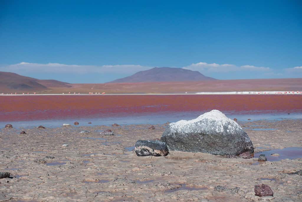 Laguna Colorada 6 Attractions Laguna Colorada
