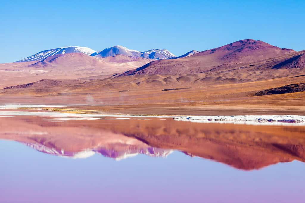 Laguna Colorada 8 Attractions Laguna Colorada