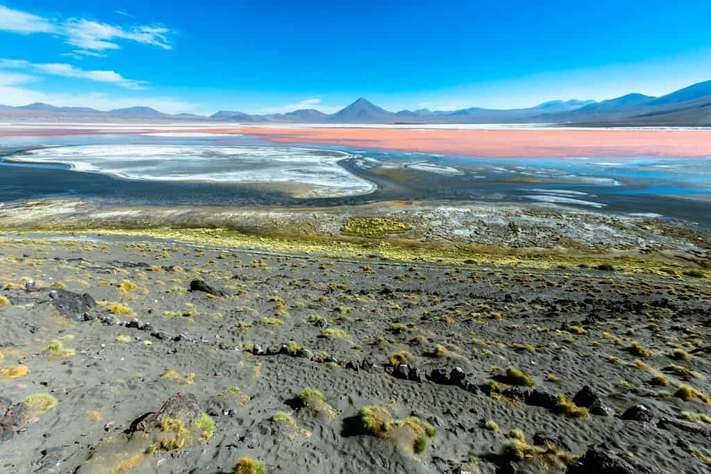 Laguna Colorada 9 Attractions Laguna Colorada