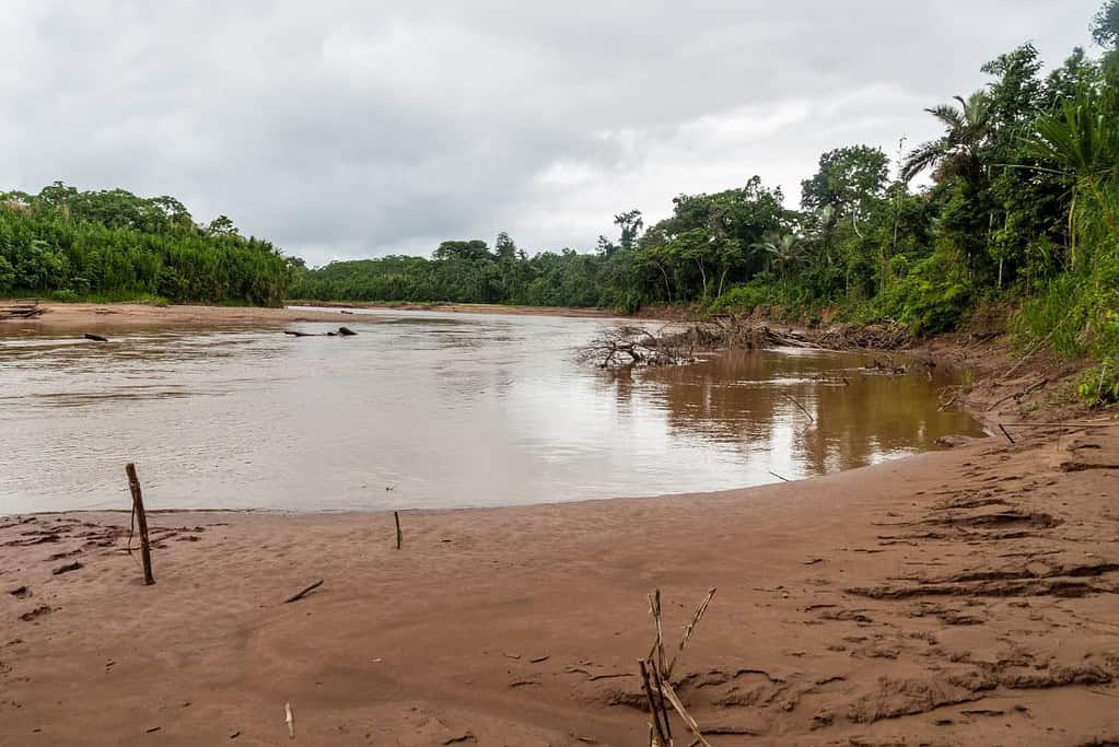 Madidi National Park 11 Attractions Madidi National Park