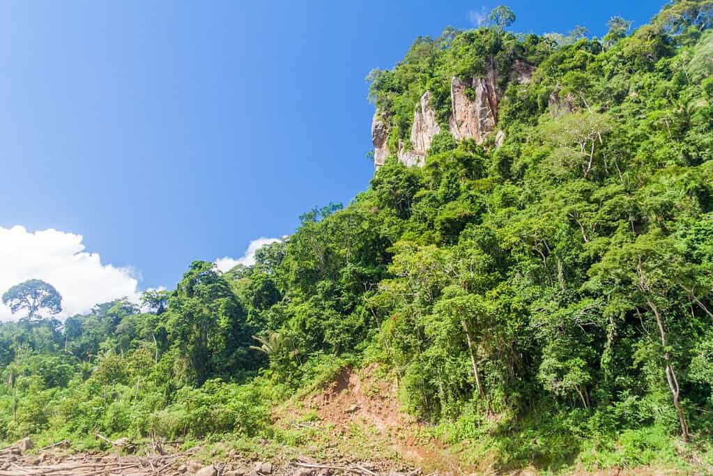 Madidi National Park 2 Attractions Madidi National Park