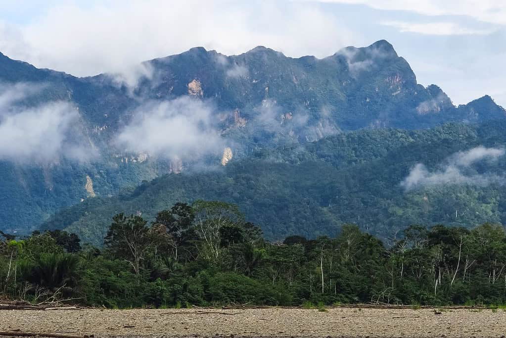 Madidi National Park 4 Attractions Madidi National Park