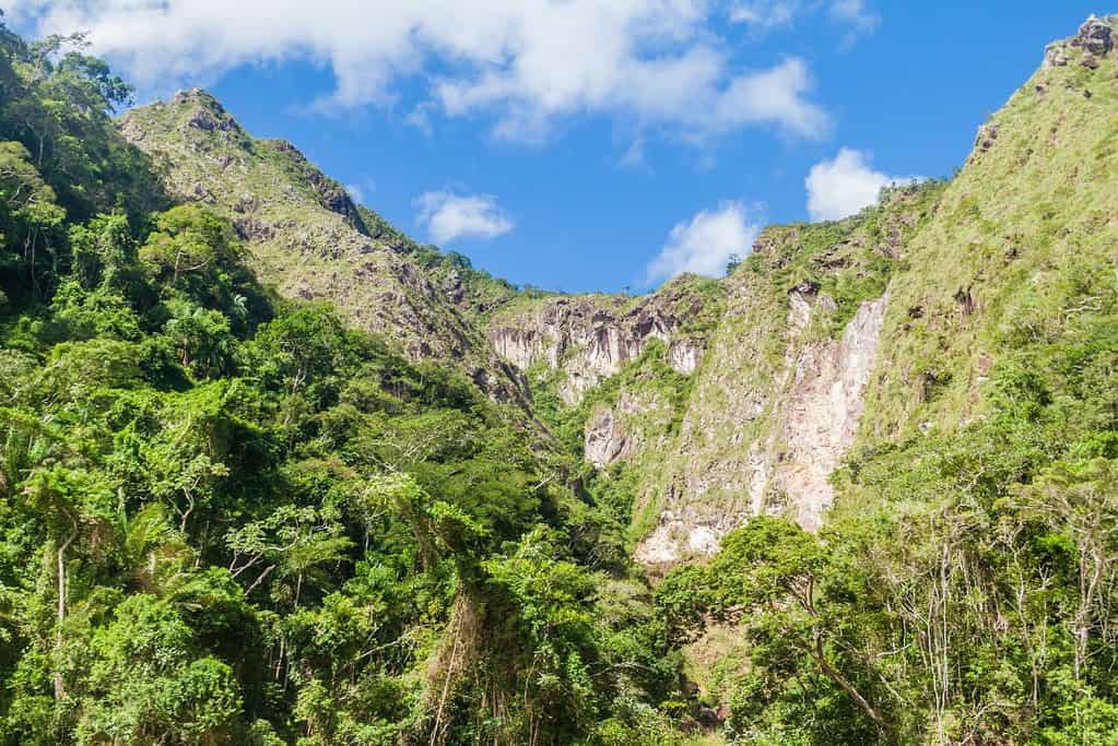 Madidi National Park 9 Attractions Madidi National Park