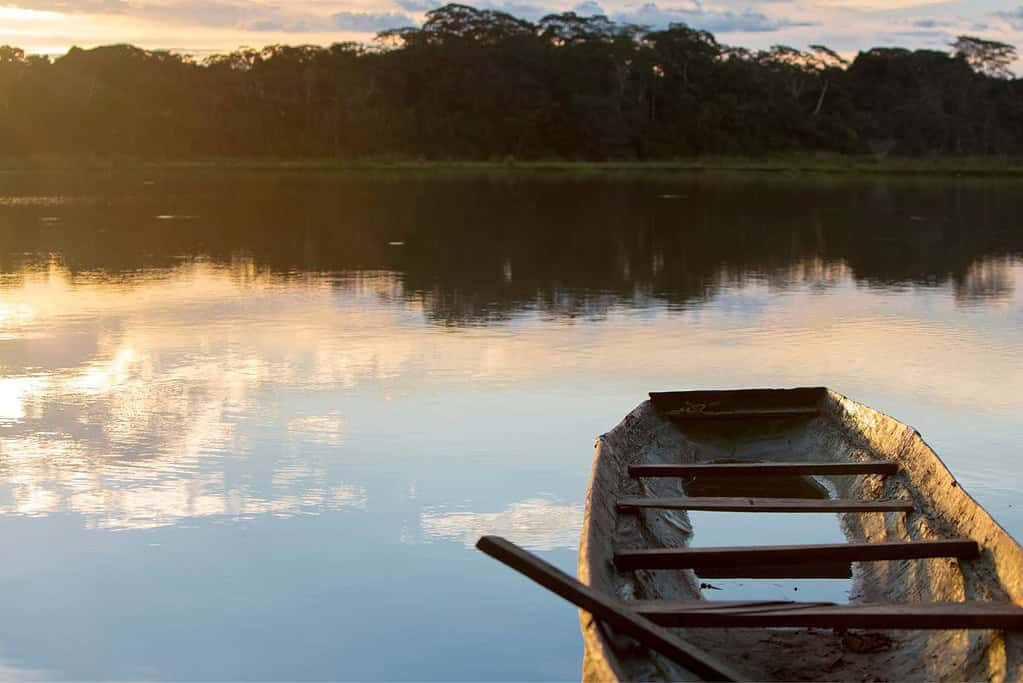 Madidi National Park Bolivia Attractions Madidi National Park