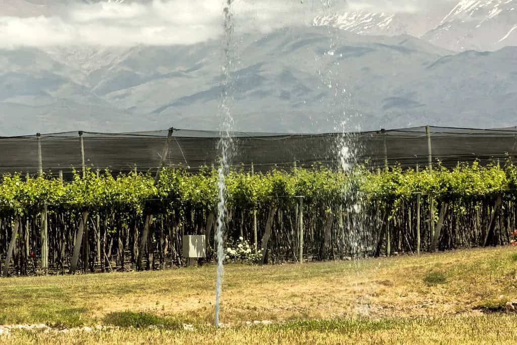 Mendoza Wine Region 10 Attractions Mendoza Wine Region