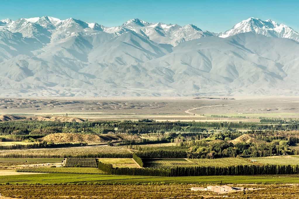 Mendoza Wine Region 8 Attractions Mendoza Wine Region